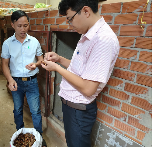 Mở rộng mô hình nuôi chồn hương đến ước mơ khởi nghiệp bằng thương hiệu cà phê chồn trên quê hương Bình Phước