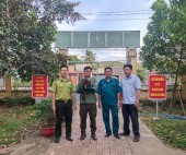 Hạt Kiểm lâm huyện Đồng Phú tiếp nhận một cá thể diều hoa Miến Điện