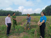 Ngân hàng Chính sách xã hội huyện thực hiện tốt tín dụng chính sách đối với người chấp hành xong án phạt tù