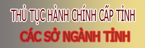 Thủ tục hành chính tỉnh Bình Phước