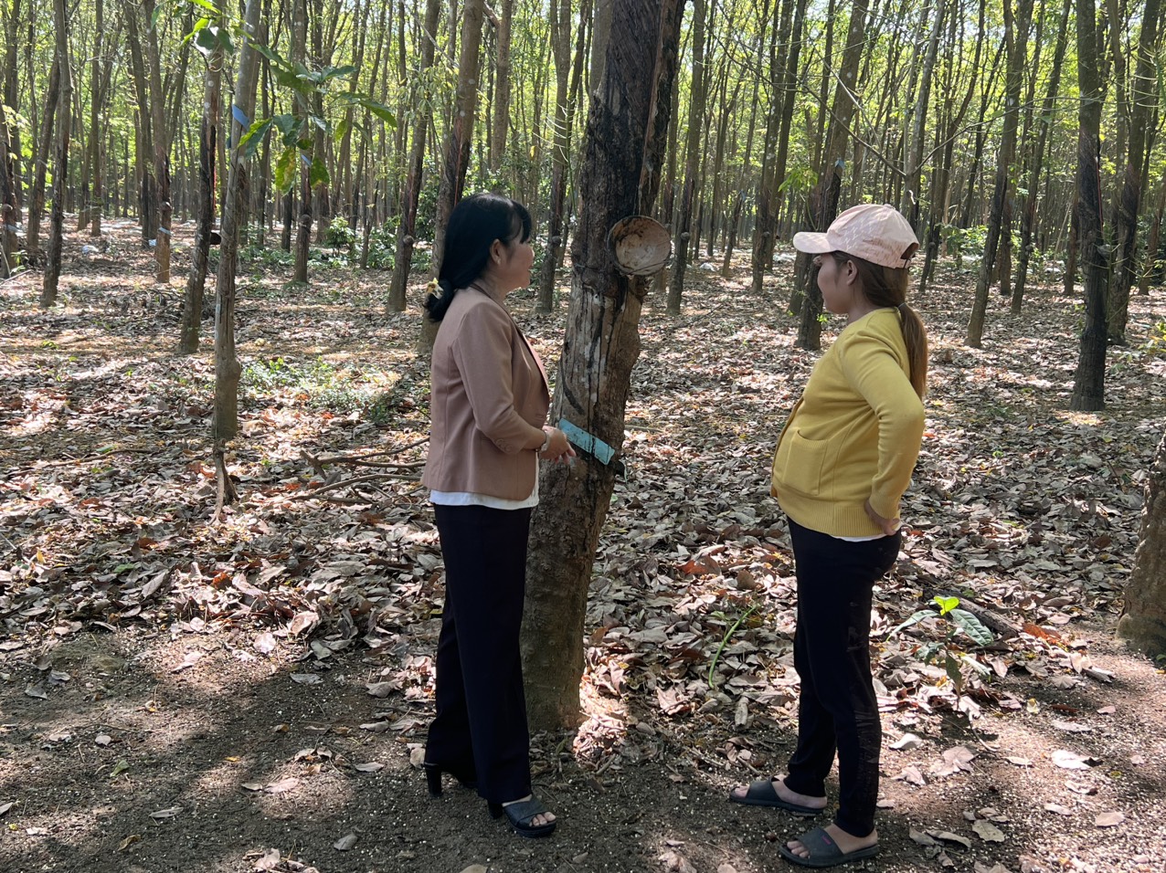 Nguồn vốn từ Chương trình hỗ trợ tạo việc làm đã giúp hàng trăm lao động trên địa bàn huyện Đồng Phú phát triển sản xuất, kinh doanh